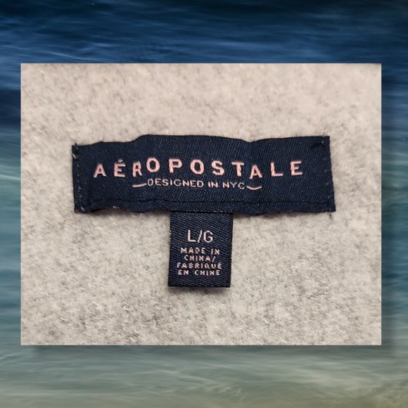 Aeropostale "NY Varsity Dept" zipped hoodie, NWOT, size Lg - Picture 4 of 6